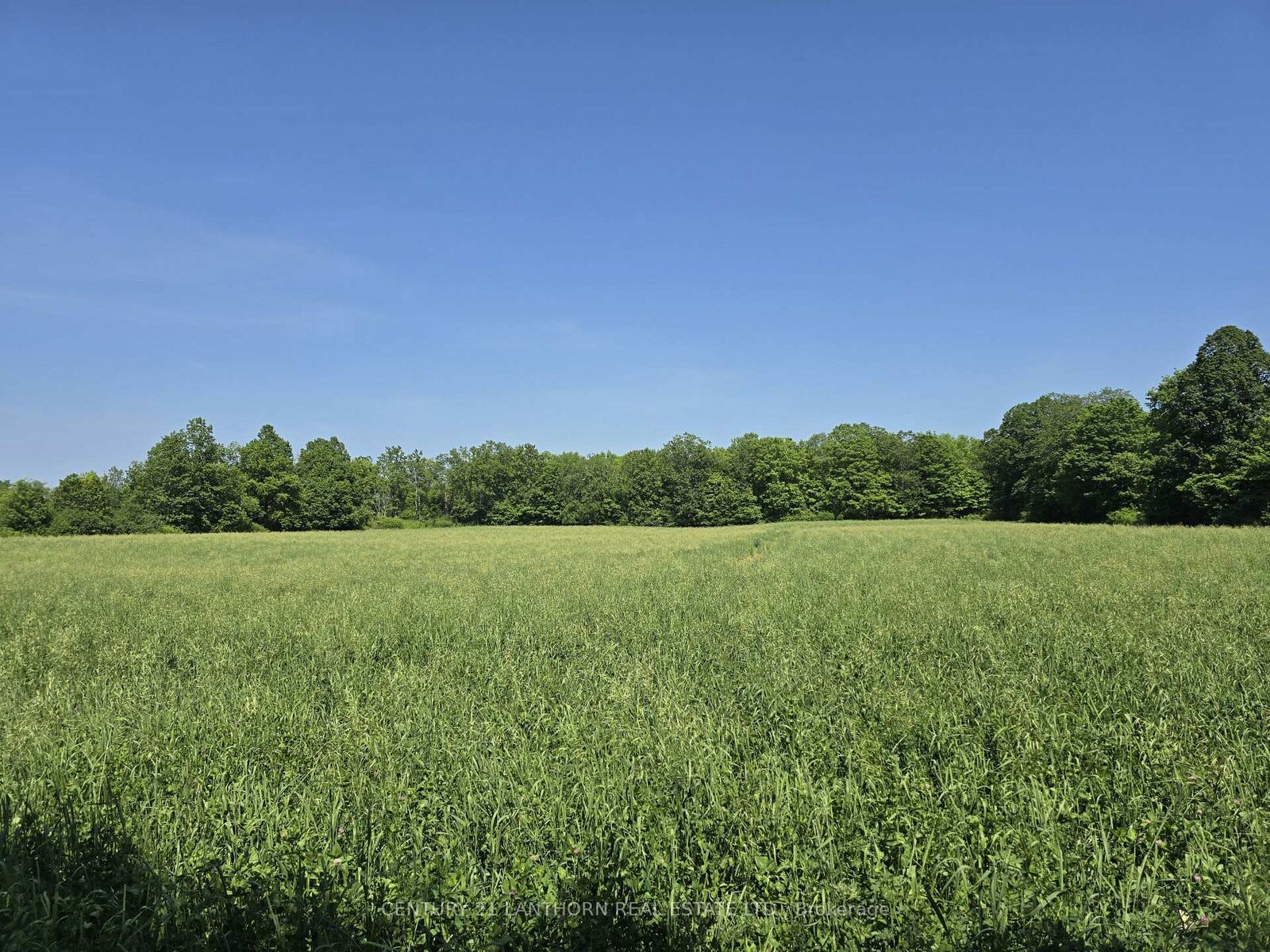 Property Photo:  0 Shannonville Road  ON K0K 1V0 