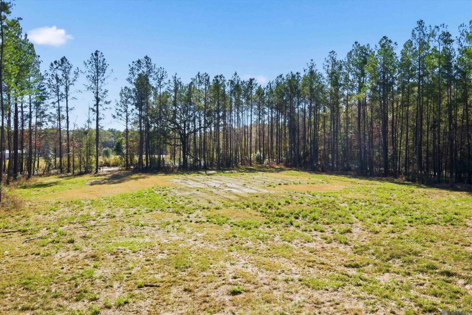 Property Photo: 39735 Sand Hill Rd LA 70785