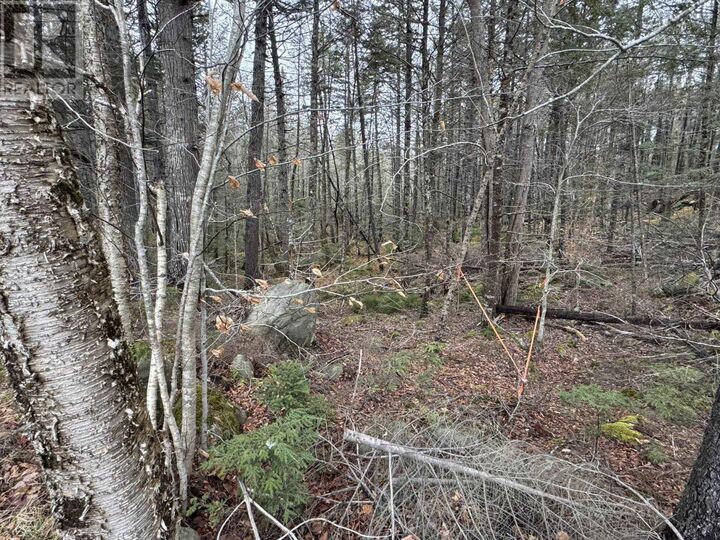 Property Photo:  Lot 78 Thumb Cap Point  NS B0T 1E0 