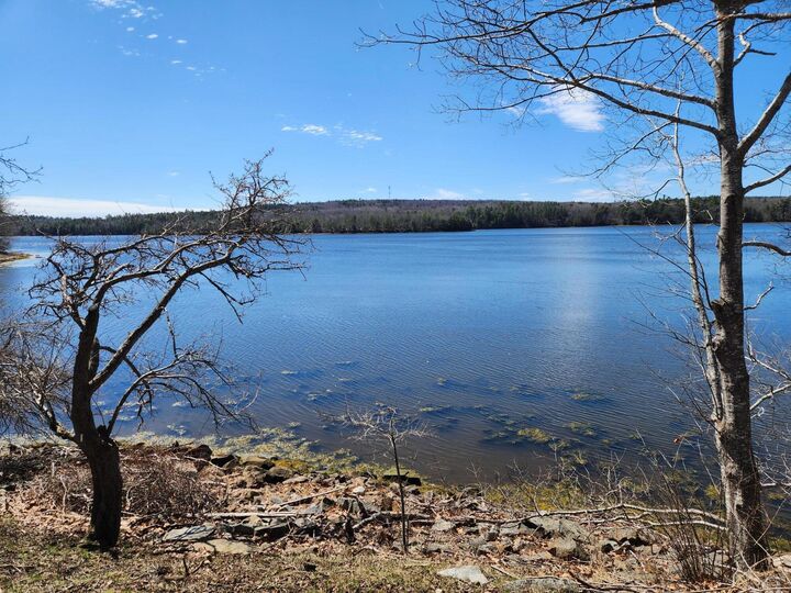 Property Photo: 141 Gross Point Road ME 04472
