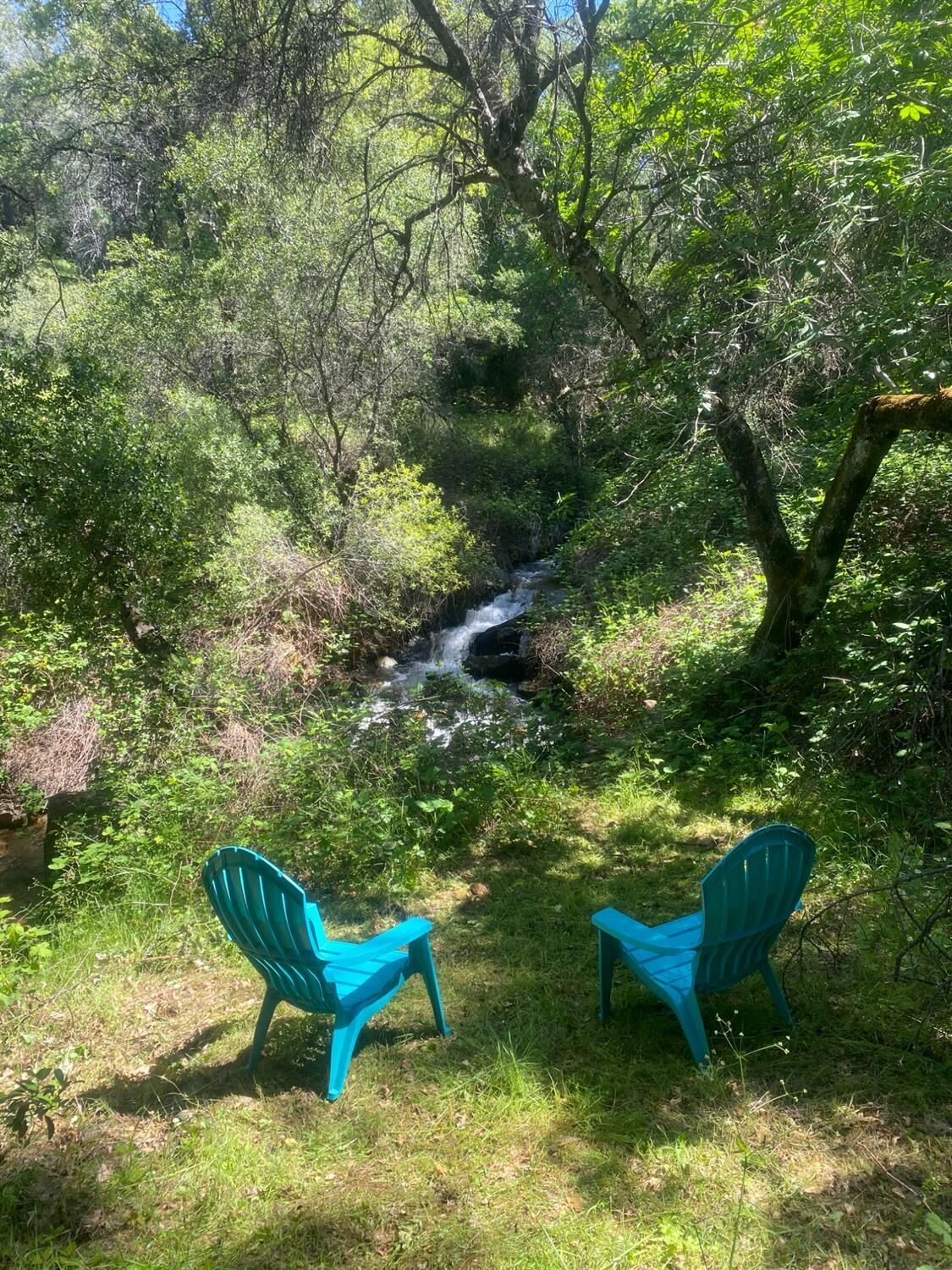 Property Photo: 15806 Perimeter Road CA 95949