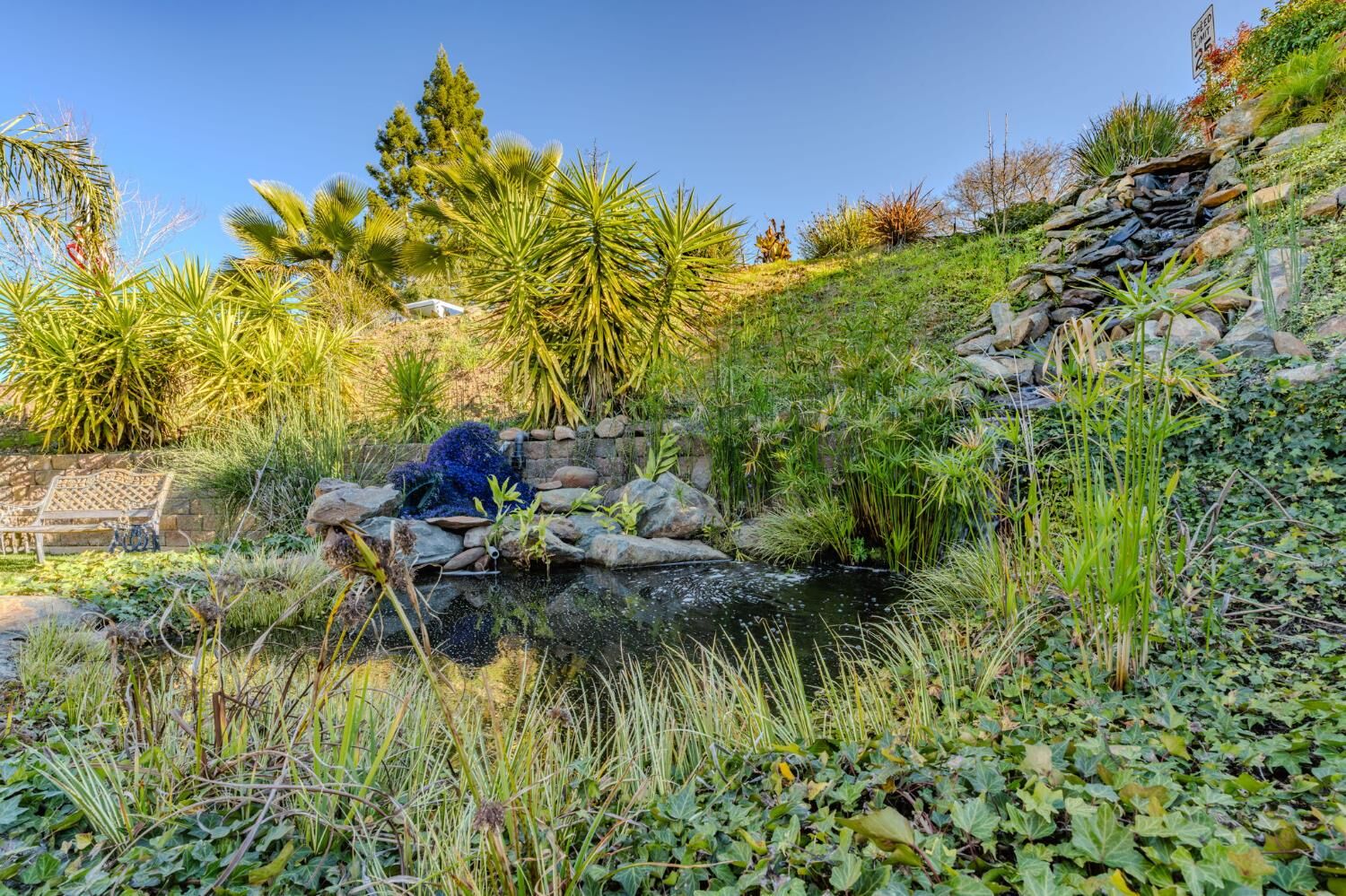 Property Photo:  155 Hillside  CA 95642 