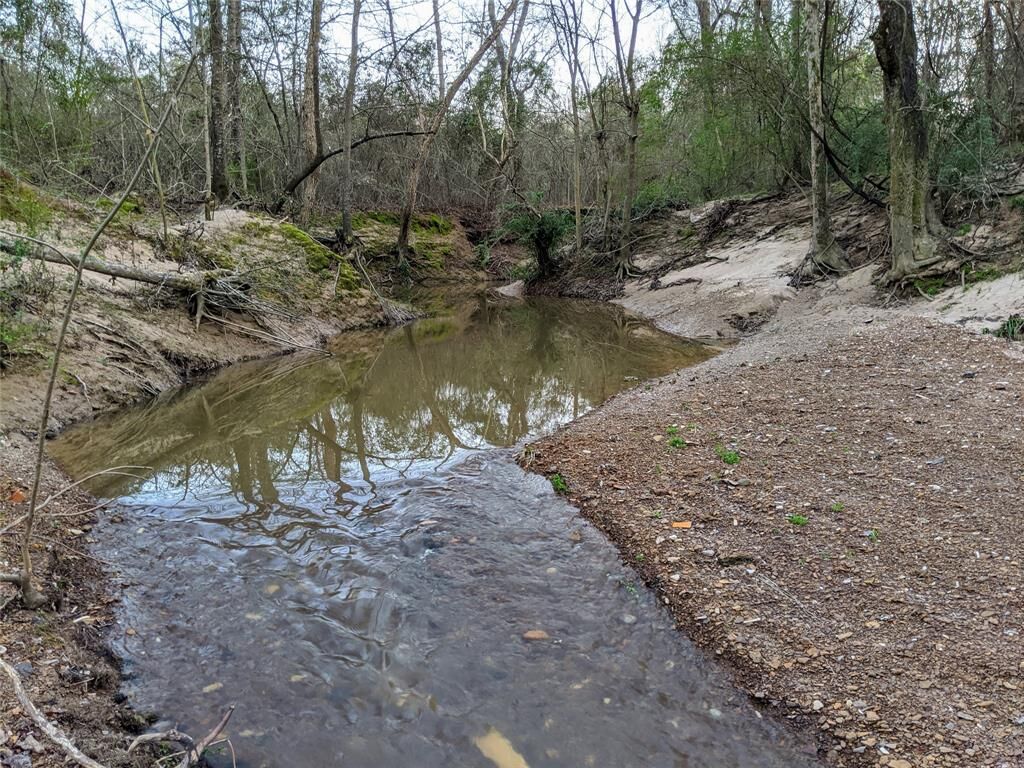 Property Photo:  6155 Farm Road 3019  TX 75494 