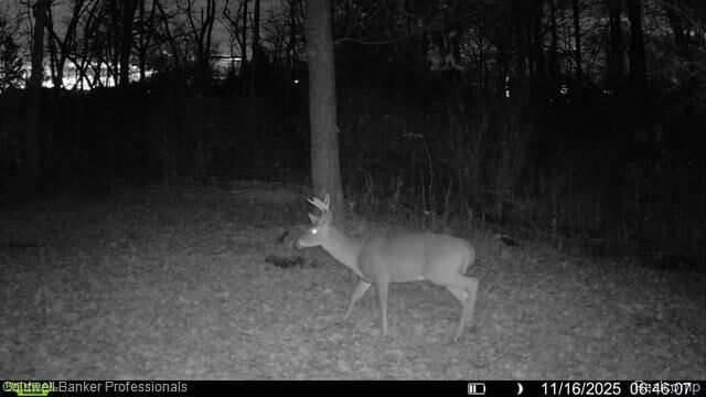 Property Photo:  Vl Rattle Run Road  MI 48079 