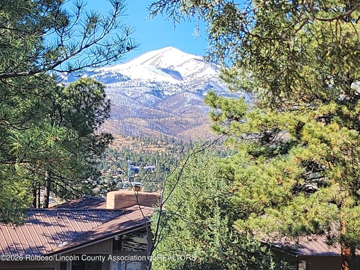 Property Photo:  318 McBride Drive  NM 88345 