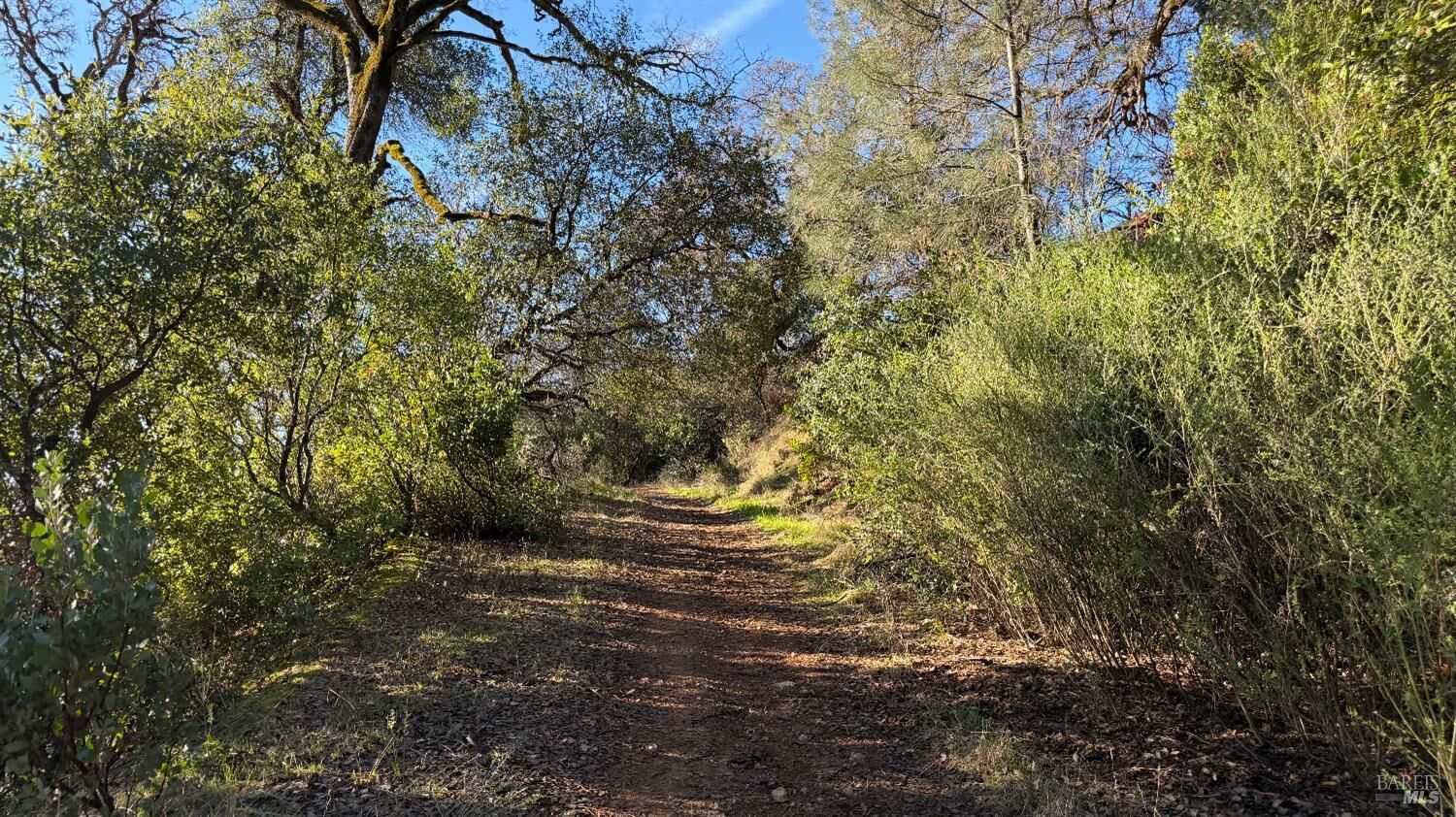 Property Photo:  3315 Filmore Street  CA 95464 