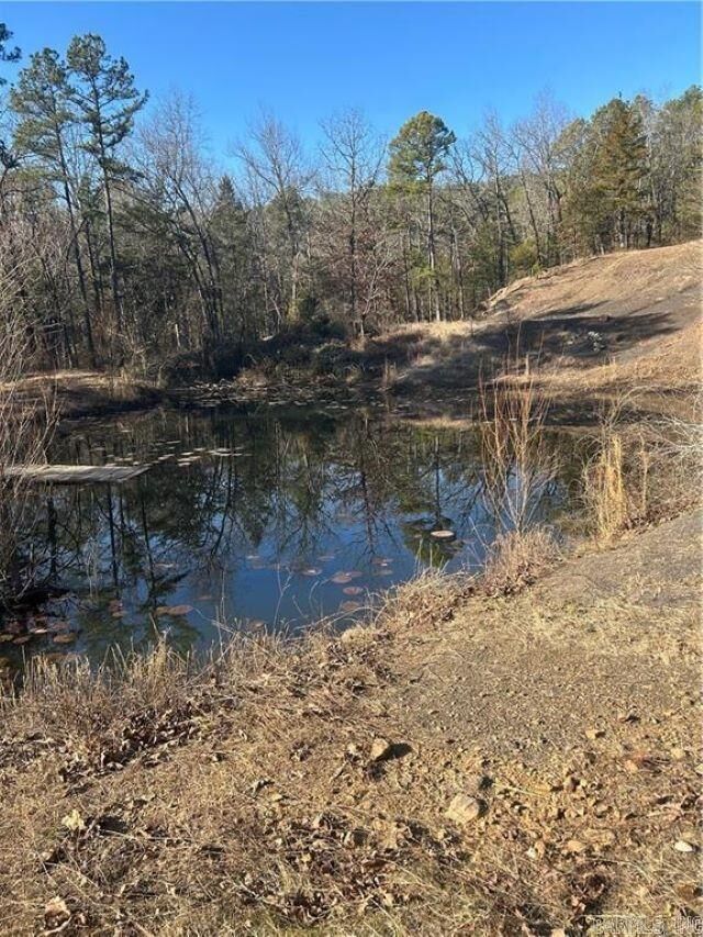 Property Photo:  15486 Slo Fork Road  AR 72834 