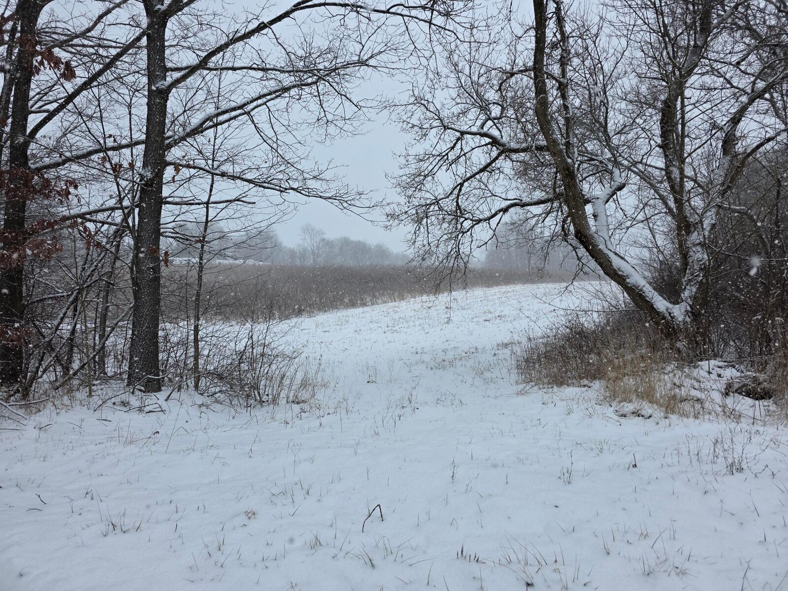 Property Photo:  0 Riggle Road  OH 44813 