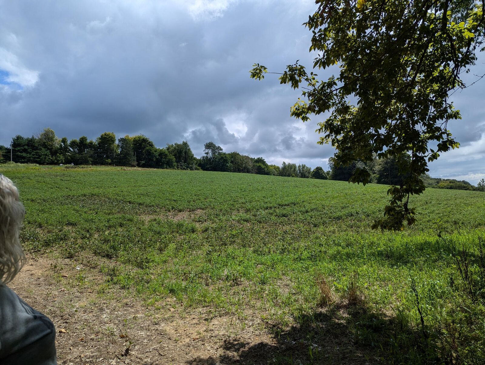 Property Photo:  0 Riggle Road  OH 44813 