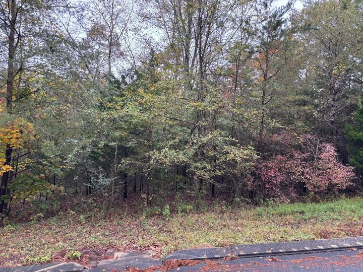 Property Photo: 3 Countryside Drive TN 37327