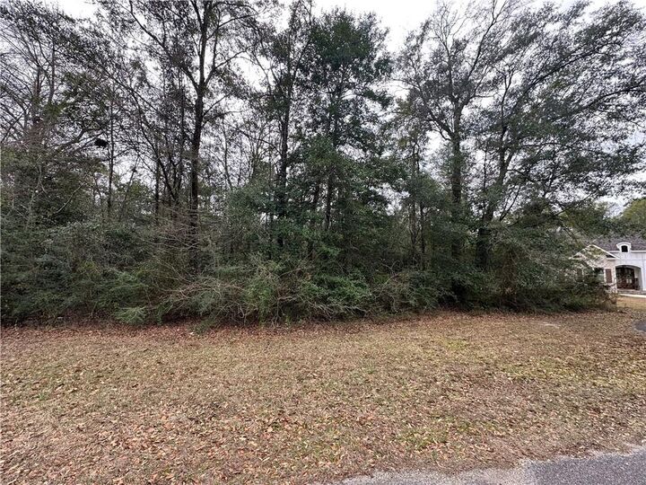 Property Photo:  0 Timber Springs Drive  AL 36587 