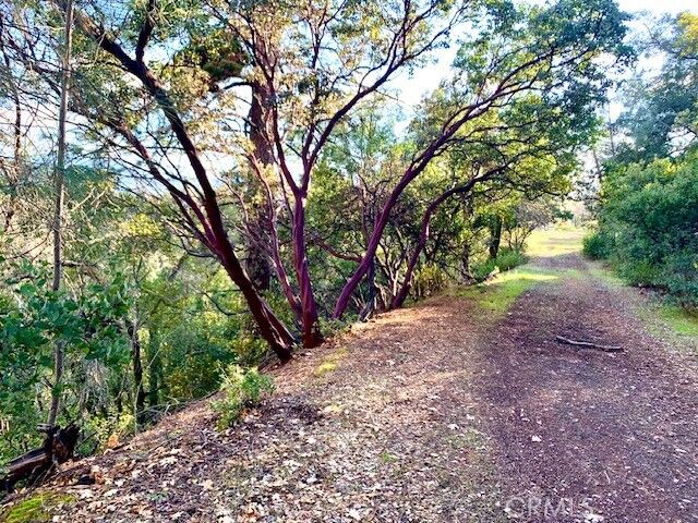 Property Photo: 7333 Tehama CA 95464