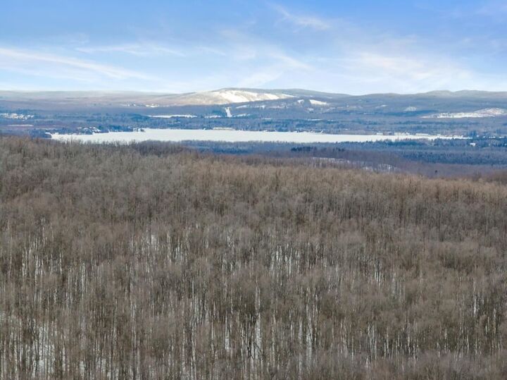 Property Photo:  Wildwood  MI 49770 