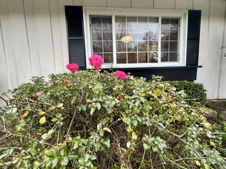 Property Photo:  2317 Oakdale Road  CA 94010 