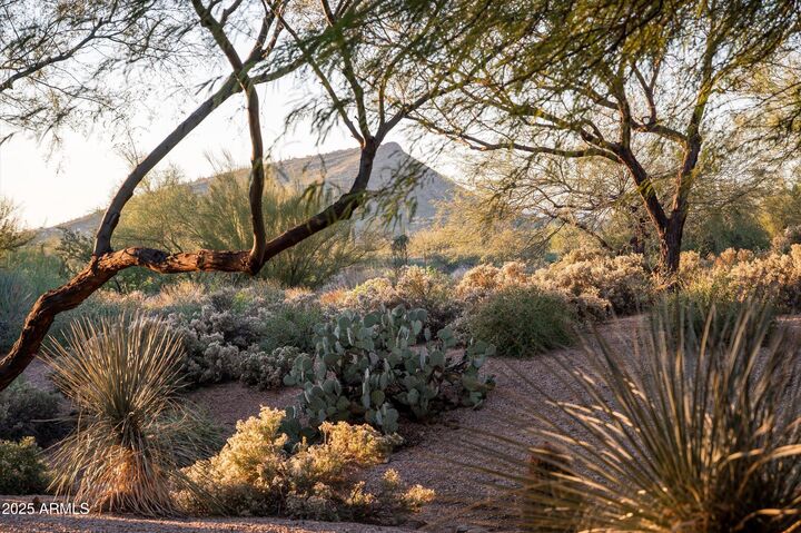 Property Photo:  38720 N 104th Street  AZ 85262 