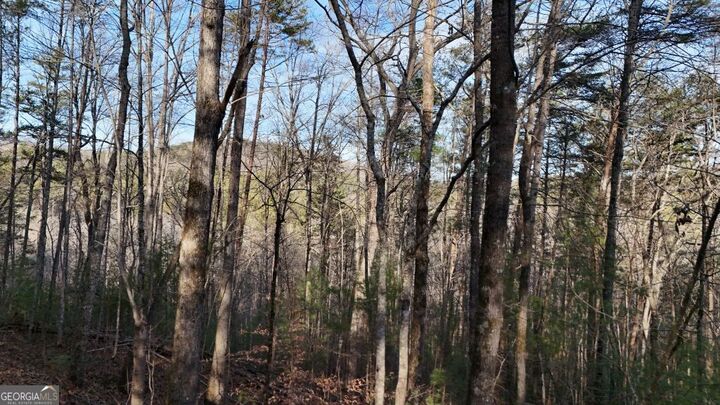 Property Photo:  00 Gold Valley Road  GA 30571 