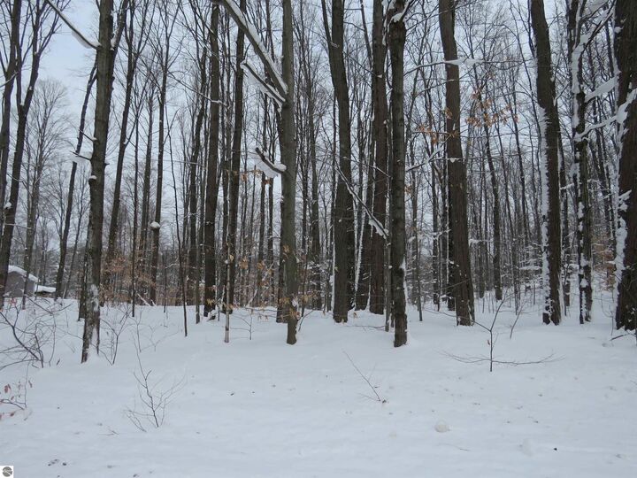 Property Photo:  0 W 38 Road  MI 49638 