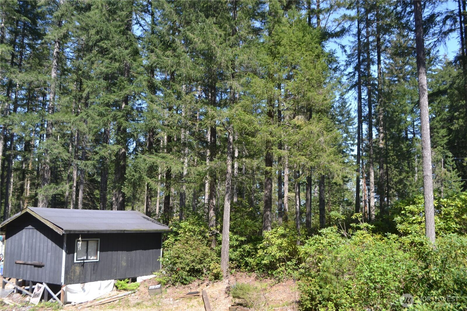 Property Photo: 80 NE Collins Drive E WA 98588