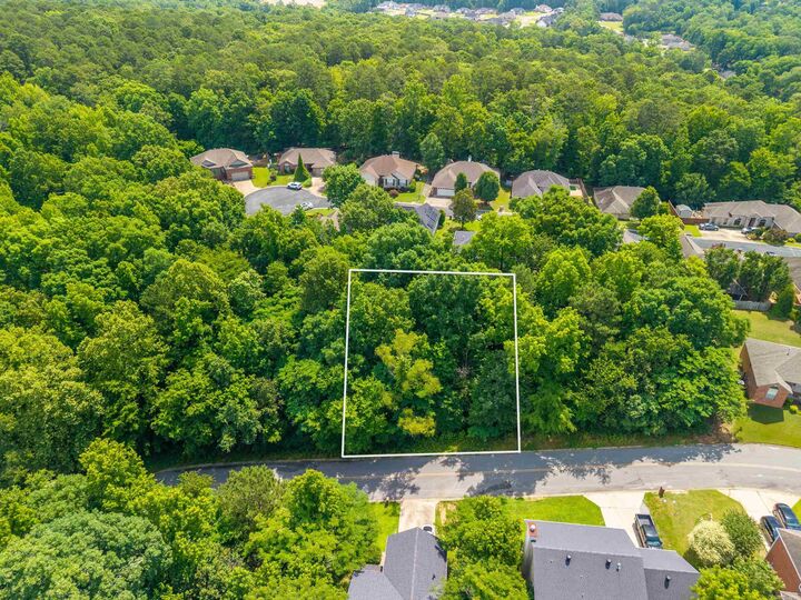 Property Photo: Lot 117 Volcanic Drive AR 72015
