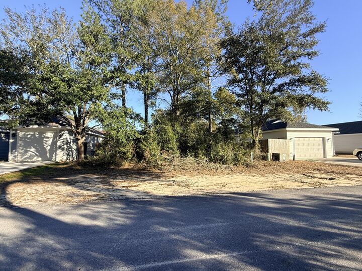 Property Photo: Lot 34 Caswell Branch Road FL 32439