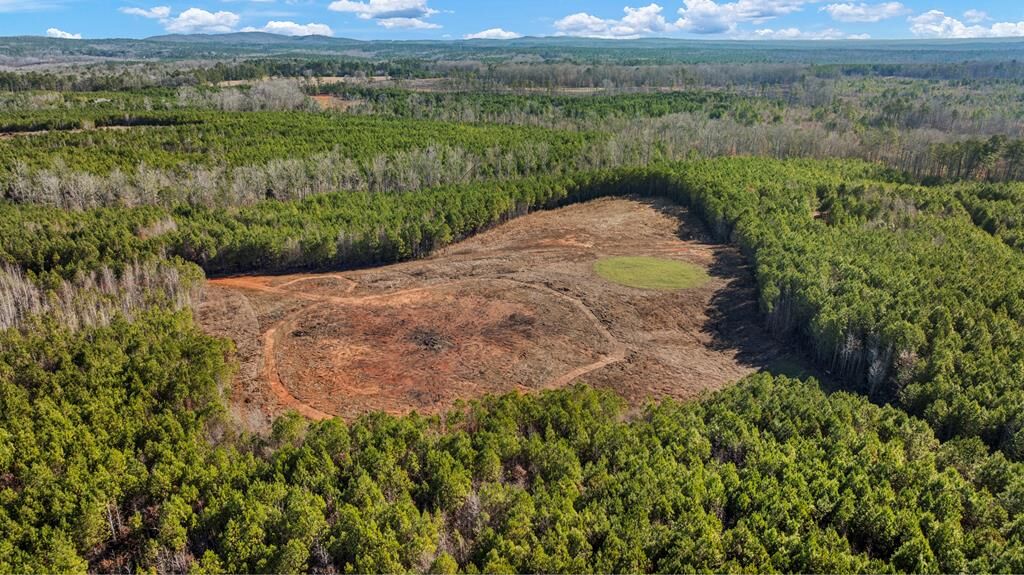 Property Photo:  Parcel C3-300 US Highway 0027  GA 31811 