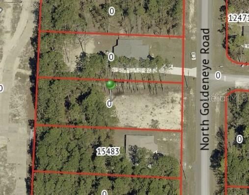 Property Photo:  15493 Penn State Road  FL 34614 