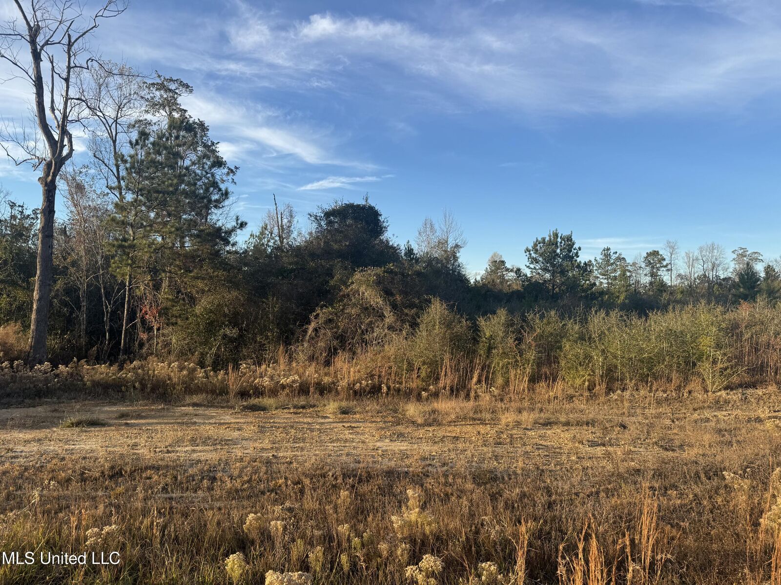Property Photo:  9 Acres Parker Road  MS 39561 
