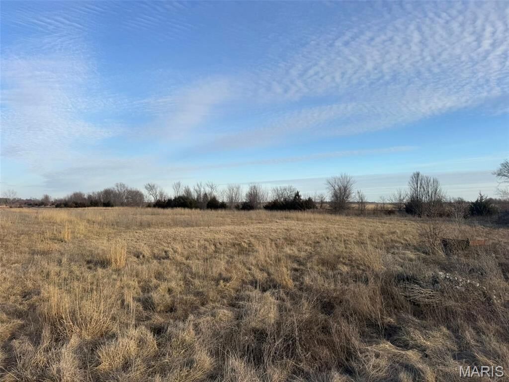 Property Photo:  Lot 8 Buckman Drive  MO 63456 