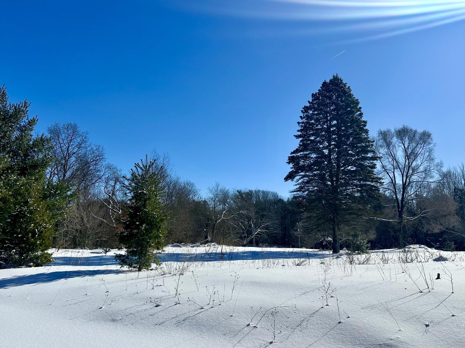 Property Photo: 3505 65th Street MI 49453