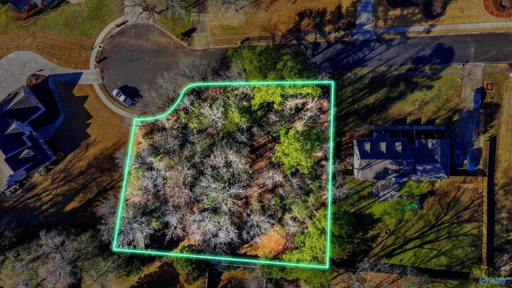 Property Photo:  207 Willowchase Drive  AL 35769 