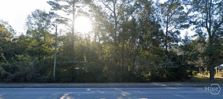 Property Photo:  27 Zoe Lane Lane  GA 31333 