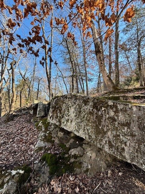 Property Photo:  Lot 13 Cr 1526  AR 72632 