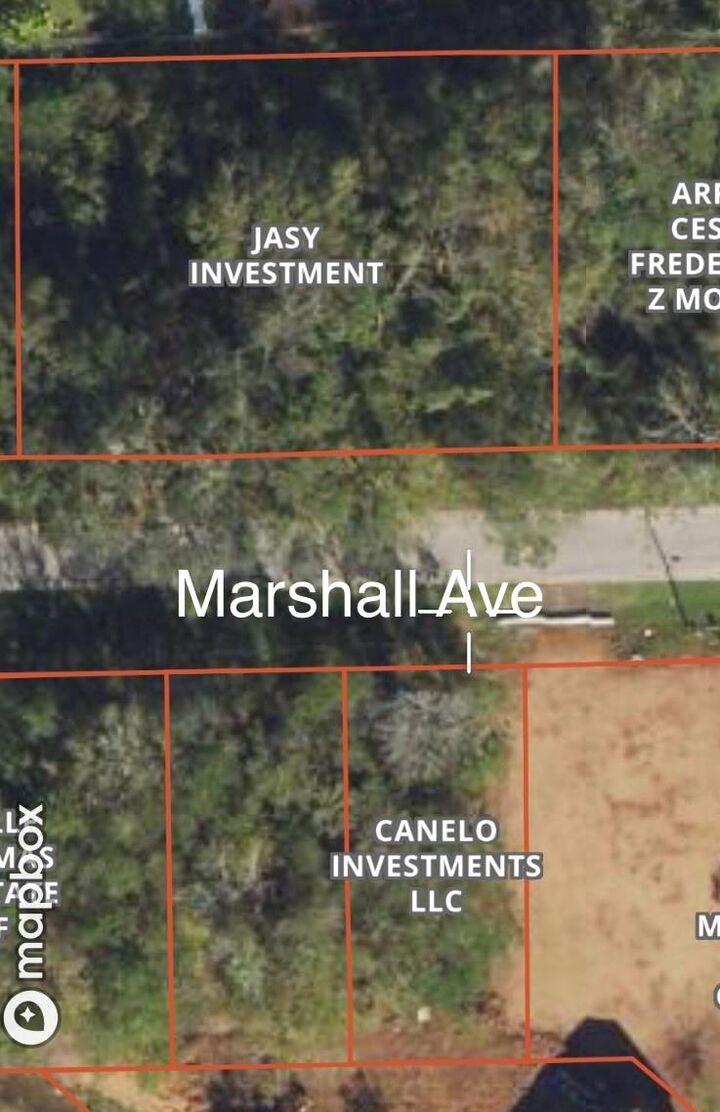 Property Photo:  Lots 641,639,637 Marshall Avenue  TX 77515 