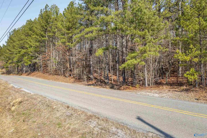 Property Photo:  3.54 Tom Cat Road  AL 35903 