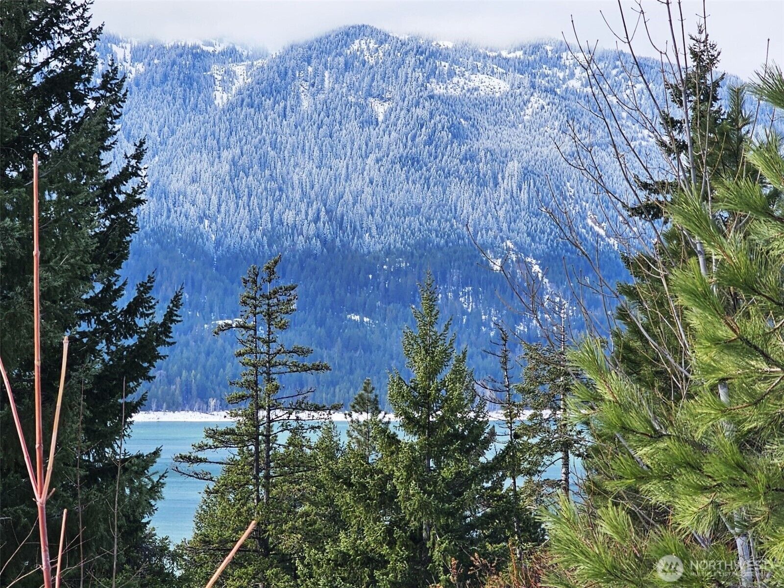 Property Photo:  12  Anna Bell Drive  WA 98940 