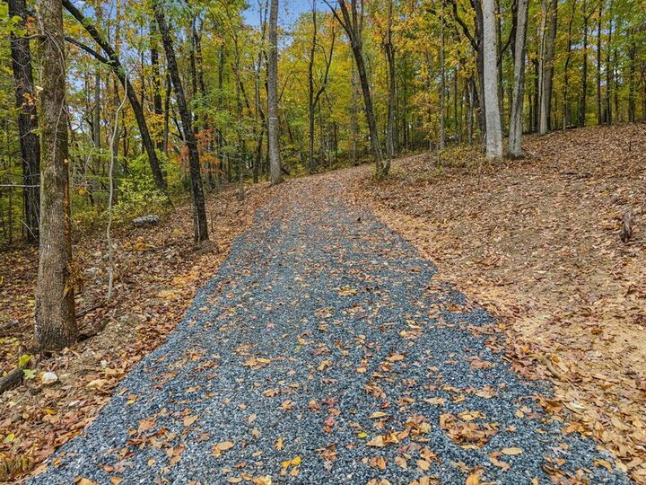 Property Photo:  0 Quarles Road  GA 30740 