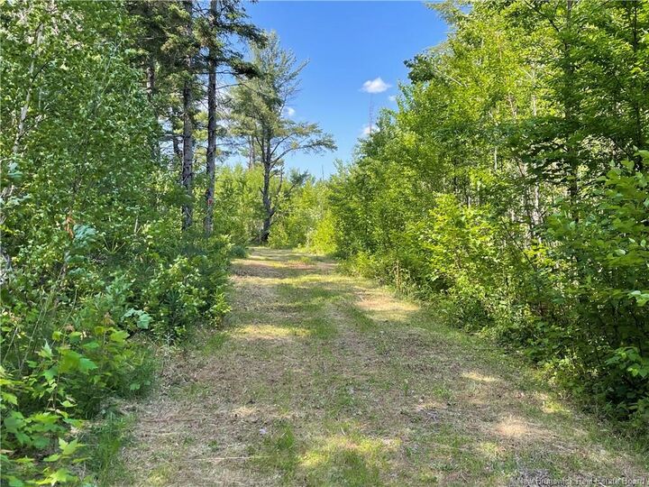 Property Photo:  - Route 11  NB E1N 5C5 