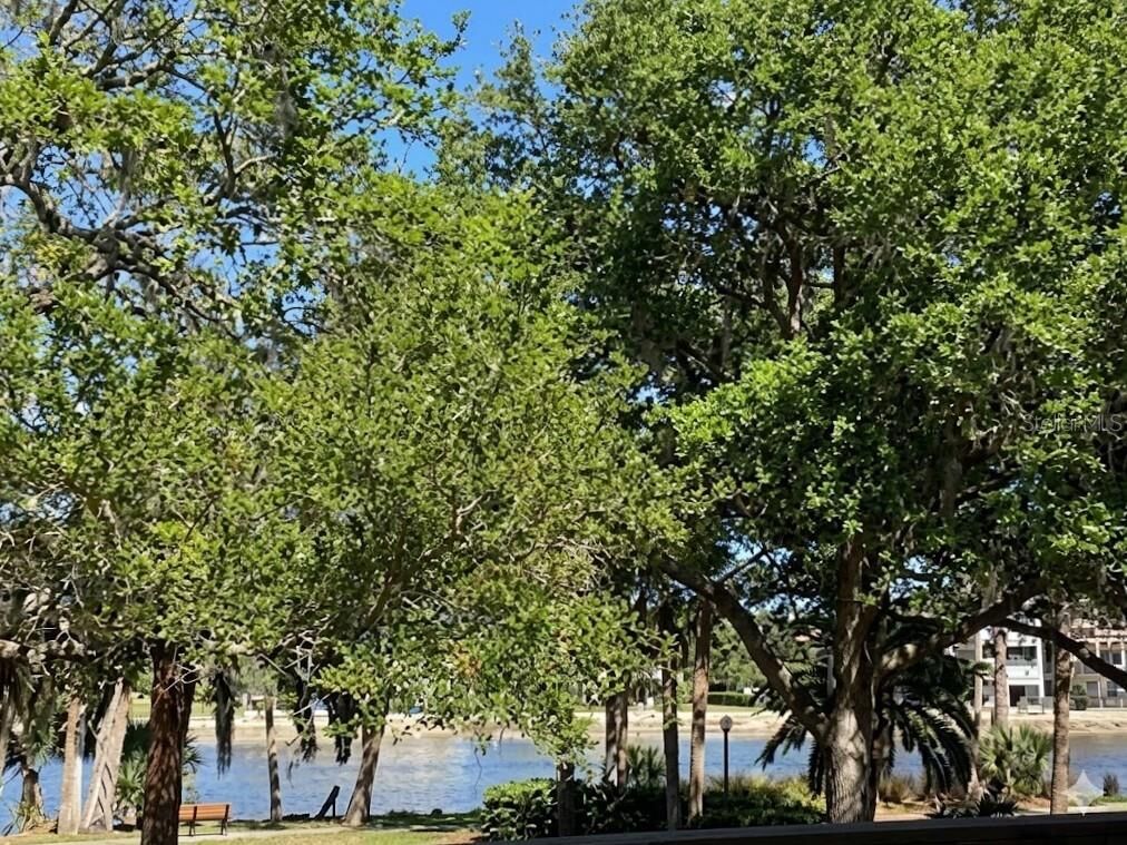 Property Photo:  95 Rivers Edge Lane 95  FL 32137 