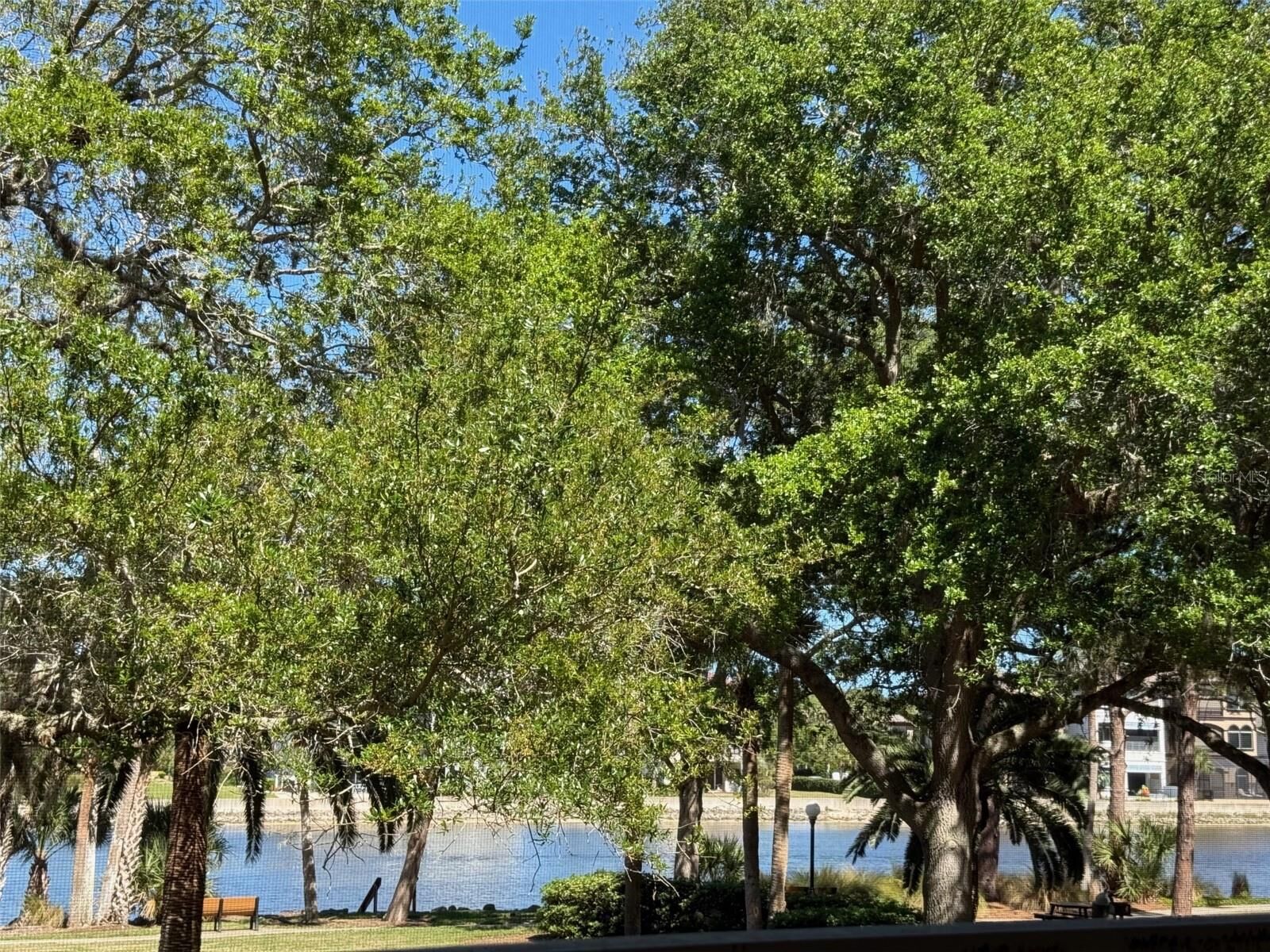 Property Photo:  95 Rivers Edge Lane 95  FL 32137 