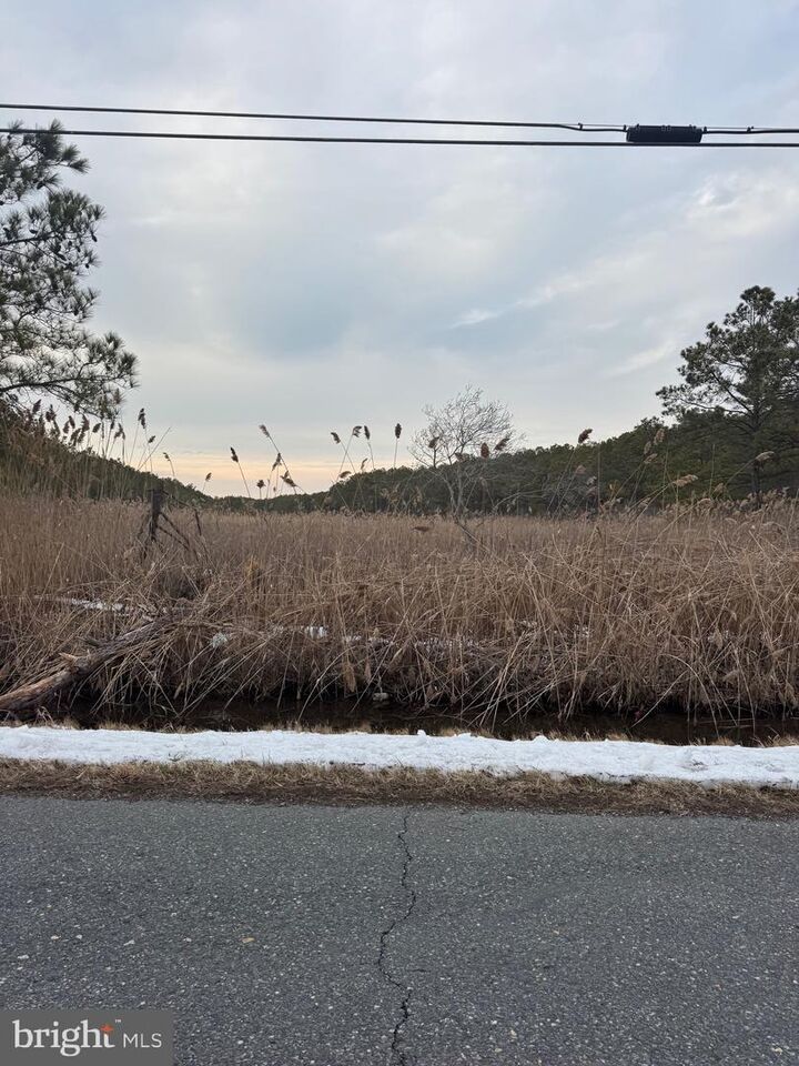 Property Photo:  2625 Toddville Road  MD 21672 