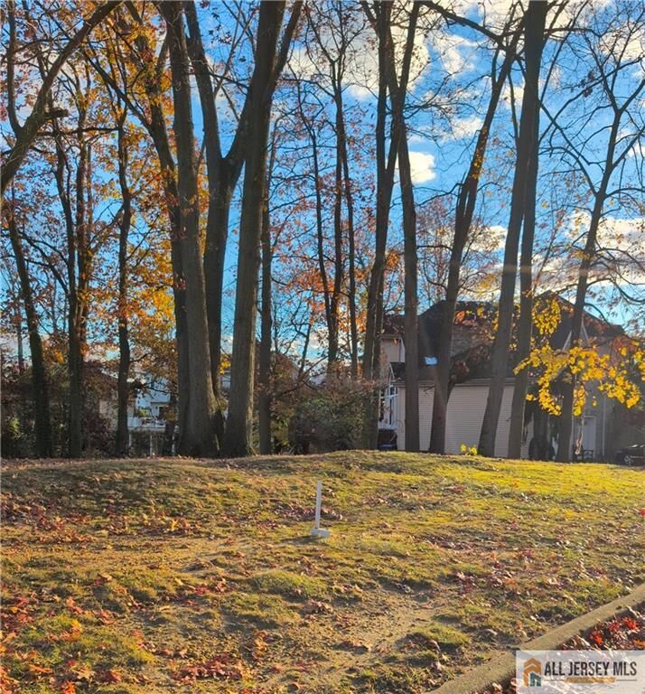 Property Photo:  0-0 Appleby Avenue  NJ 08882 