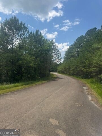 Property Photo:  Lts 43 &Amp 44 Reece Mountain Road  GA 30536 