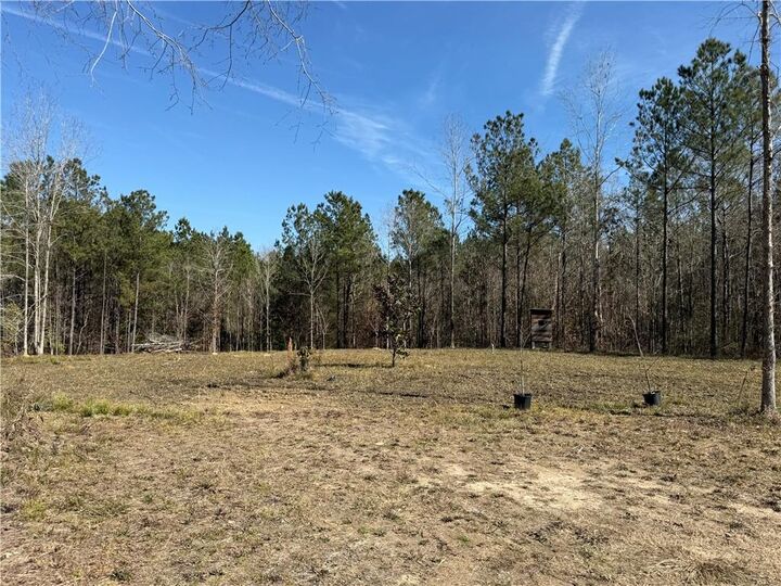 Property Photo:  92 H. Strange Road  LA 71346 