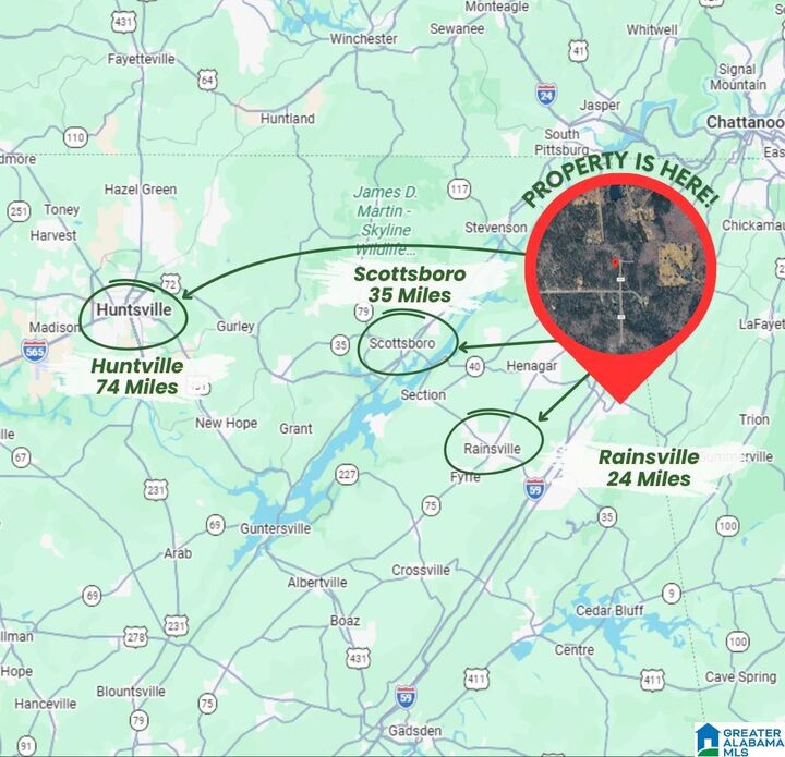 Property Photo:  0 County Road 89 0  AL 35984 