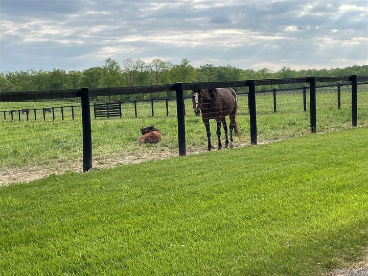 Property Photo:  40 Bates Lane  NY 12589 