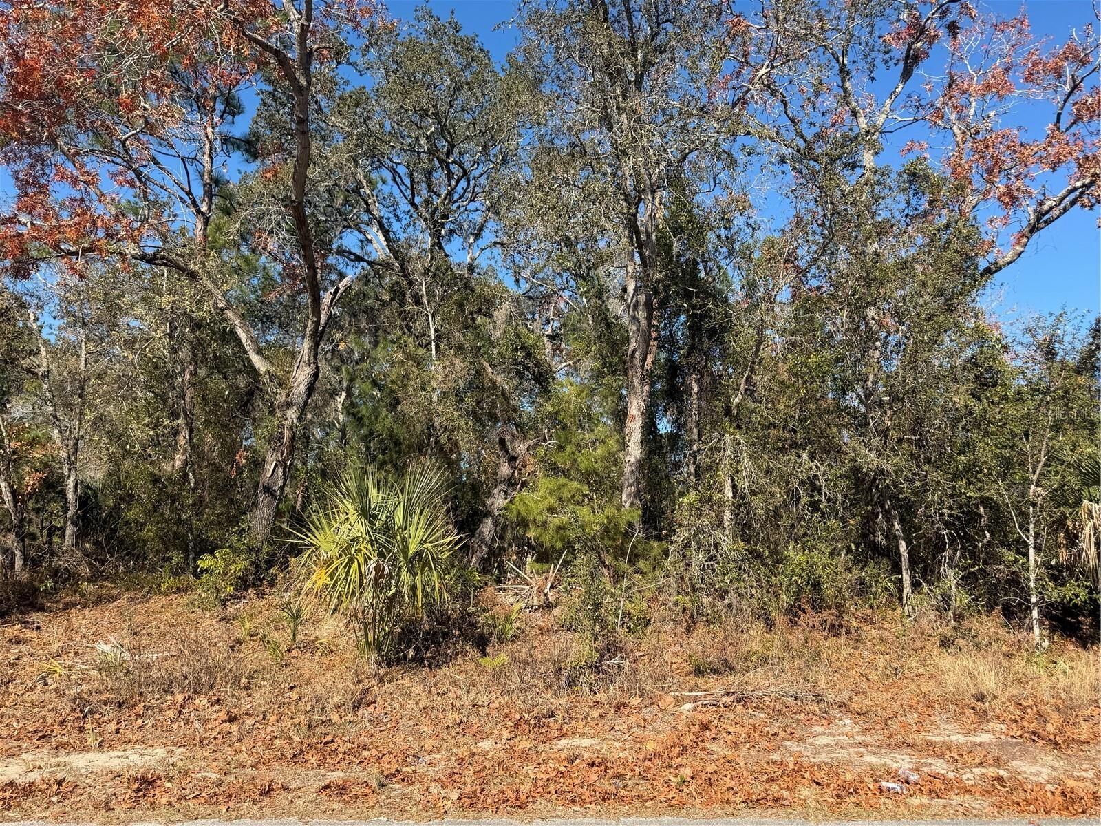 Property Photo: 4307 Castle Avenue FL 34609