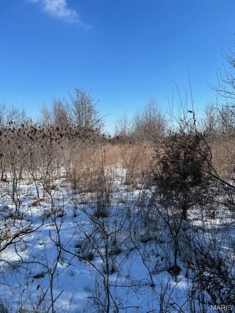 Property Photo:  Lot 6 Parkview Farms  MO 63626 