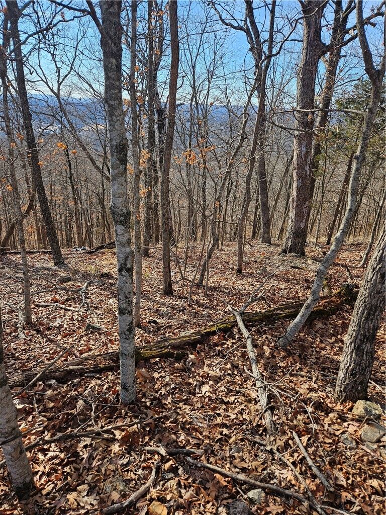 Property Photo:  Holiday Island, Lot 11 Drive  AR 72631 