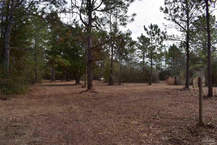 Property Photo: 0000 Pat Brown Rd FL 32570