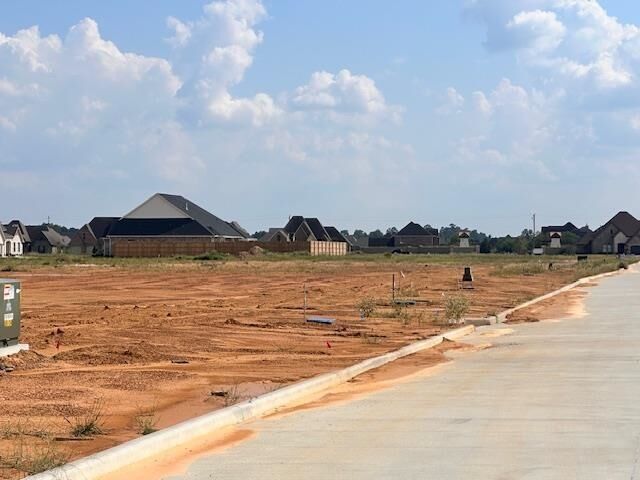 Property Photo:  1335 Natasha'S Way  TX 77657 